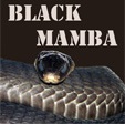 Black Mamba e Liquid Flavor Blend