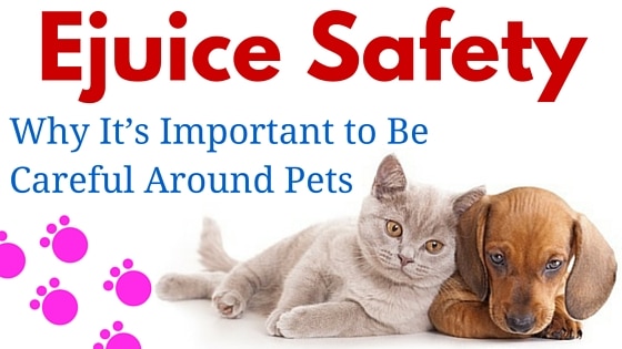 You are currently viewing Ejuice Safety: Why It’s Important to Be Careful Around Pets