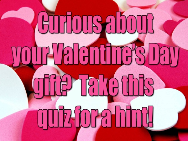 You are currently viewing Curious About Your Valetine’s Day Gift? Take This Quiz For A Hint!