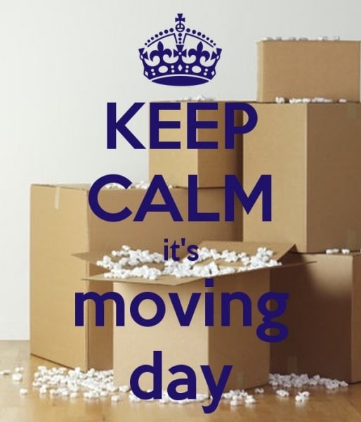 You are currently viewing Moving Day – Part Four