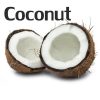 NIC SALTS Coconut Flavor
