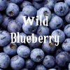 NIC SALTS Wild Blueberry Flavor