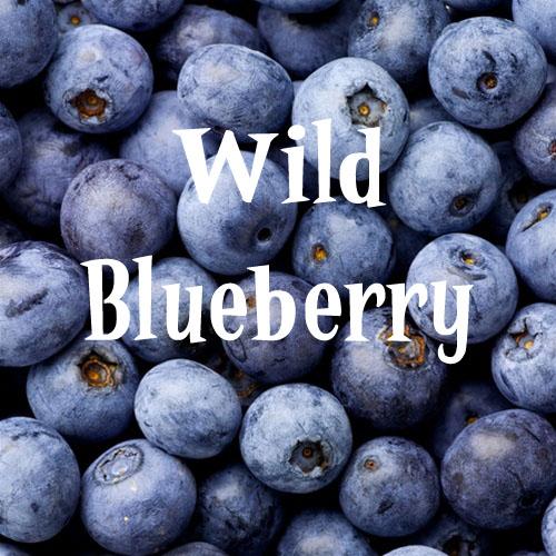 Newly Reformulated for Tobacco-Free NIC SALTS Wild Blueberry Flavor